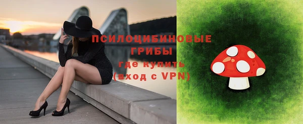 альфа пвп Нязепетровск