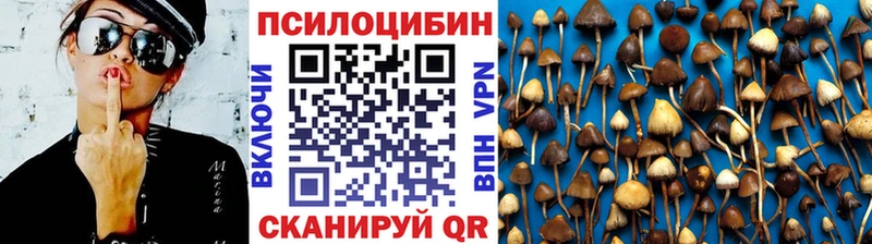 Псилоцибиновые грибы GOLDEN TEACHER KRAKEN как войти Комсомольск-на-Амуре