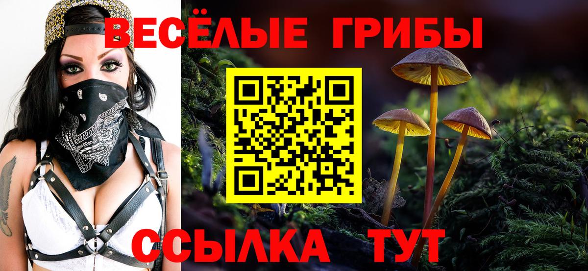 Галлюциногенные грибы Magic Shrooms Комсомольск-на-Амуре