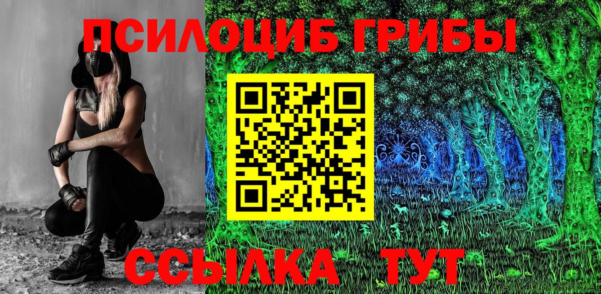 Комсомольск-на-Амуре  Галлюциногенные грибы MAGIC MUSHROOMS  Вход с VPN  Галлюциногенные грибы Psilocybe 
