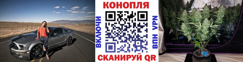 ссылка на мегу онион  Комсомольск-на-Амуре  Бошки Шишки индика 